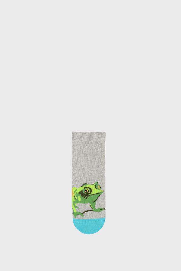 Dětské ponožky Chameleon 27-29 Wola